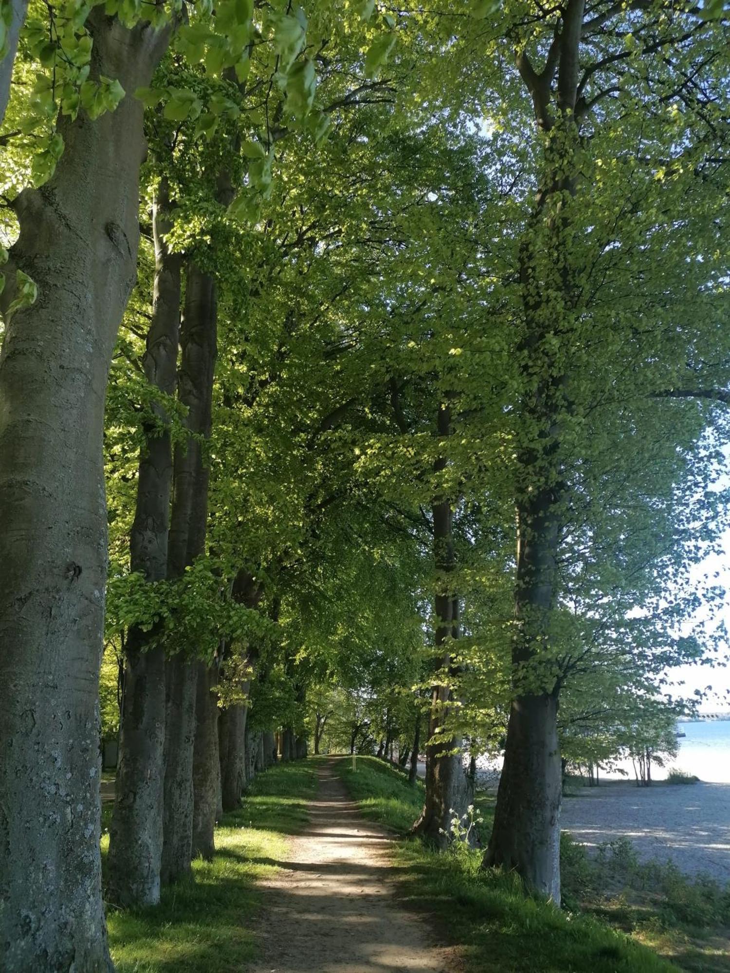 Komfortowe Domki W Pucku - Zacisze 3A I 3B Exterior foto